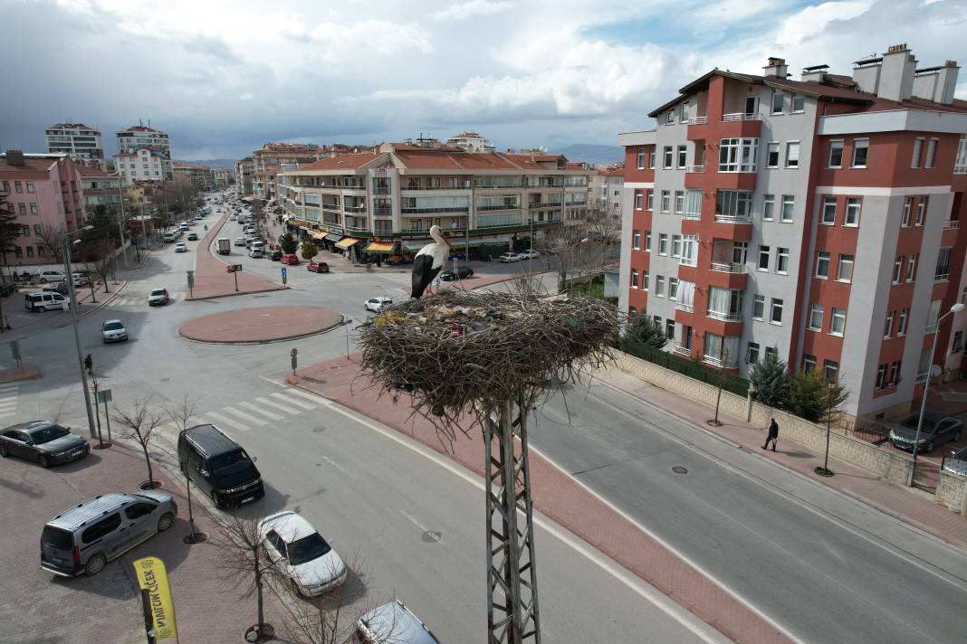 Karataylı leylekler yuvalarına döndü 1